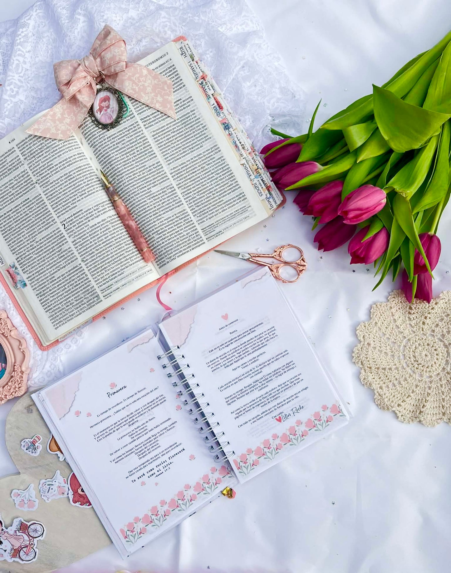 Diario de Oración – “Entre Jesús y Yo